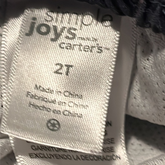 Alligator Swim Trunks Size 2T - Picture 3 of 6